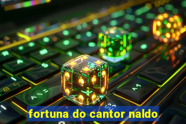 fortuna do cantor naldo